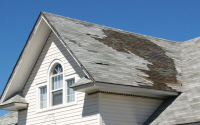 Unveiling the Signs: Common Roof Damage by Vekton in Rochester, NY