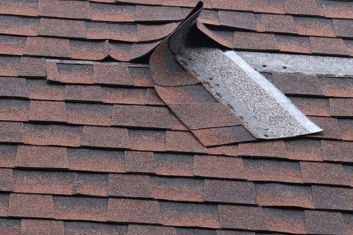 Damaged roof shingles. Roof repair needed.