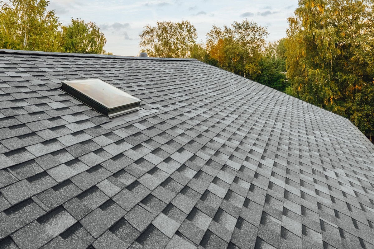 A roof with a skylight and gray shingles. Autumn trees in the background.